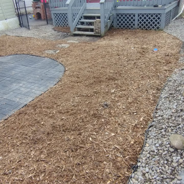 Regina's Dog-Friendly Yard