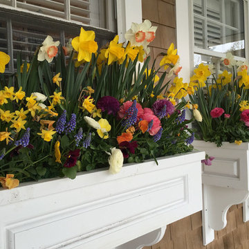 Window Boxes / Containers