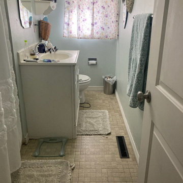 Bathroom Facelift