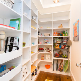 Traditional kitchen pantry ideas - Elegant kitchen pantry photo in Richmond