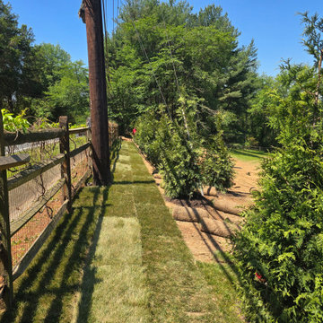 Tree Removal with Landsacpe and Sod