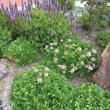 Waterwise Demonstration Garden