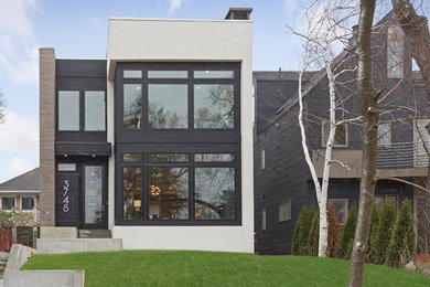 Design ideas for a modern exterior in Minneapolis.