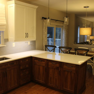 Kitchen Renovation