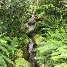 Water Features