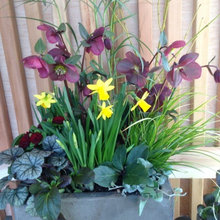 Mixed Planters