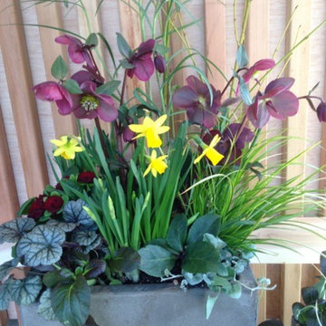 Spring Containers