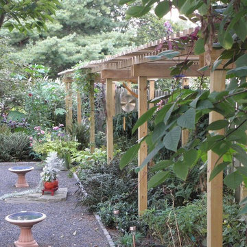 Backyard Wood Pergola