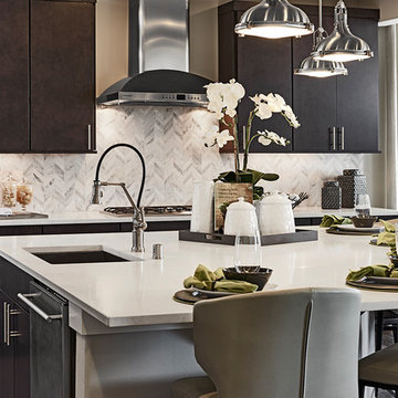 Daley Model Home in Washington