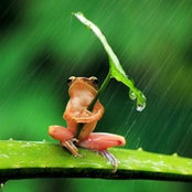Foto de Jeff Roberts