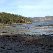 Foto von Laurence Perron