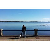 Kimberly Lawrence's photo