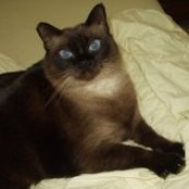 Libby Lynskey's photo