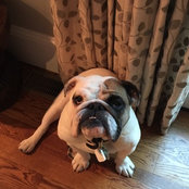 Amanda Rapp's photo