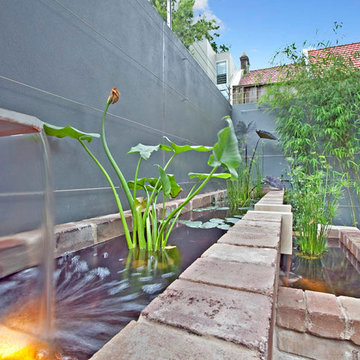 Urban Sanctuary
