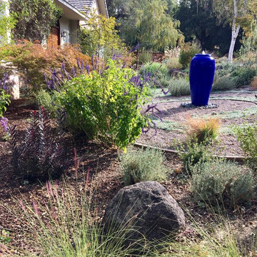 Lawn Replacement in a Challenging Environment
