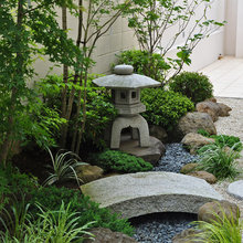 New Turtle Habitat