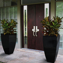 Front home