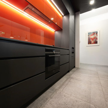 Contemporary Kitchen Design