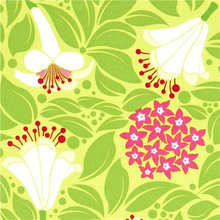 Fabrics
