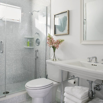 GUEST BATHROOM - SPRING LAKE, NJ