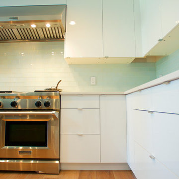 Modern IKEA Kitchen in Colorado Craftsman Home