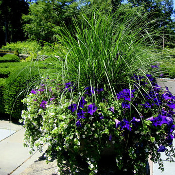 Annual display