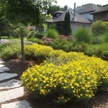 Lawn-Free, Carefree Parkway