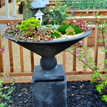 Lawn and Garden