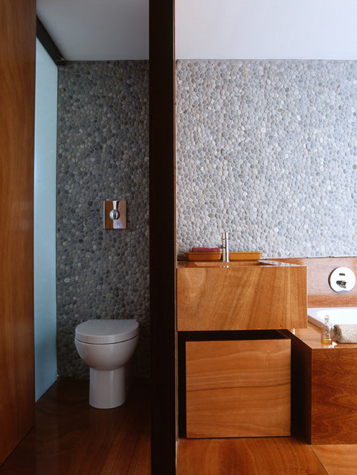 Separate Toilet Room Design Ideas & Remodel Pictures Houzz