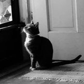 Foto von Kathy Palmer