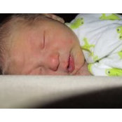 Mindi Kohout's photo