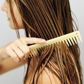 Gina M Scholl's photo