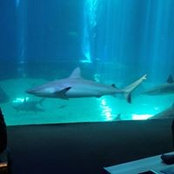 Kelly Gartman's photo