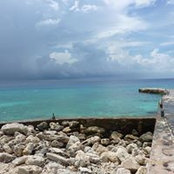 Foto von Michael Smith