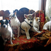 Linda Hahn's photo