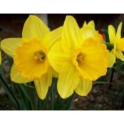 Harriet Reilly's photo