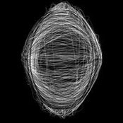 Roman Rees's photo