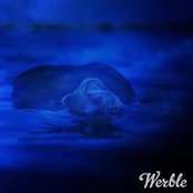 Aleta Cronce's photo