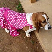 Beth Esser's photo