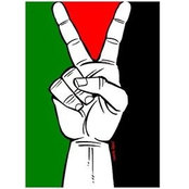 Michael Cohen's photo