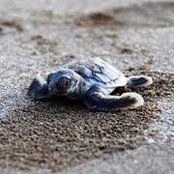 Karen Elder's photo