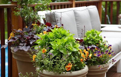 8 Knockout Flowers for a Fall Container Garden