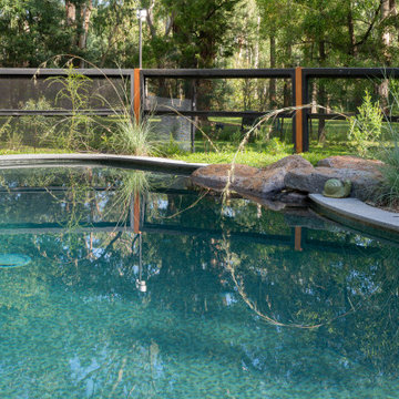 Pool 9546, Freeform pool, Warrandyte North