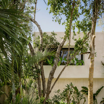Casa Areca by CO-LAB Design Office
