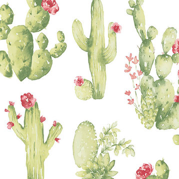 Norwall Wallcoverings CK36630 Creative Kitchens Cactus Wallpaper Green Red