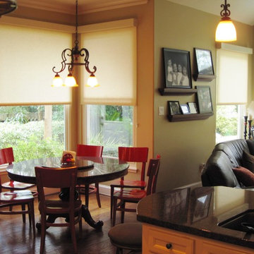 Interior Shades