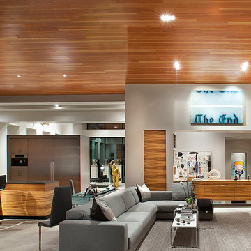 Desert Modern
