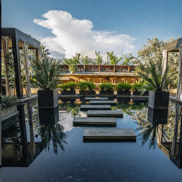 Miami's best projects