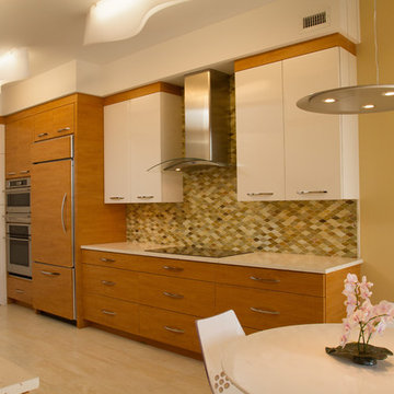 Contemporary Longboat Key Condo Kitchen